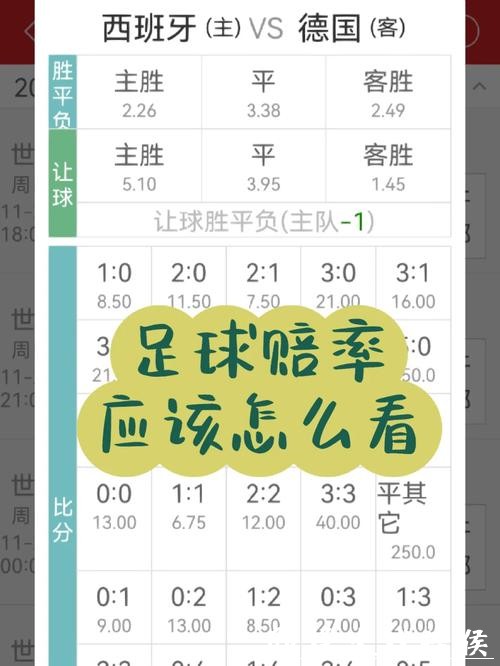 安全可靠的世界杯下注APP平台指南